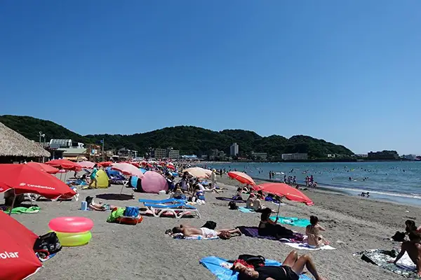 逗子海岸の写真